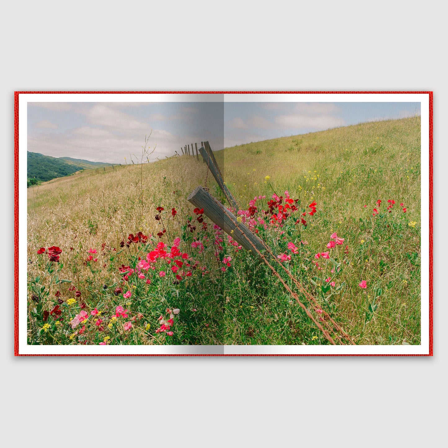Another Patch of Sky, Brian Chorski