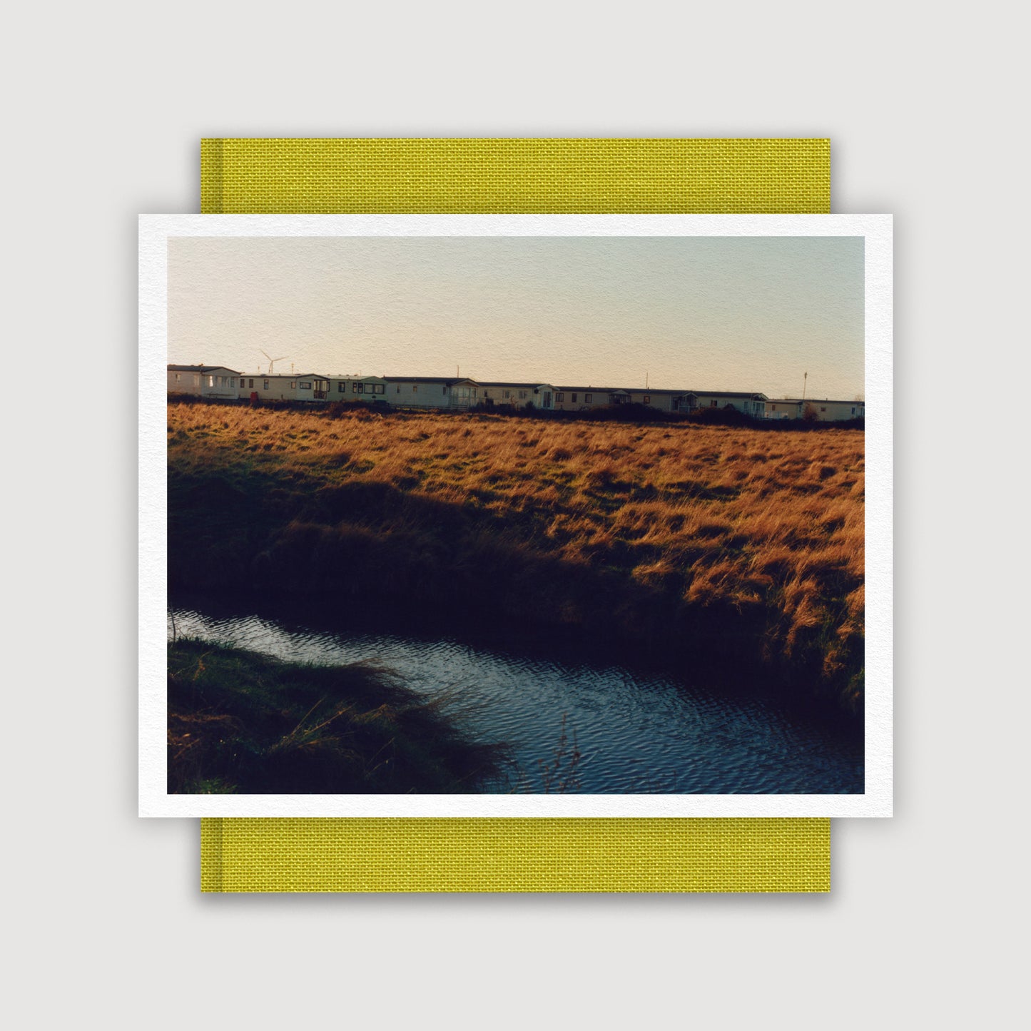 Close to Home, Print Edition, Laura McCluskey