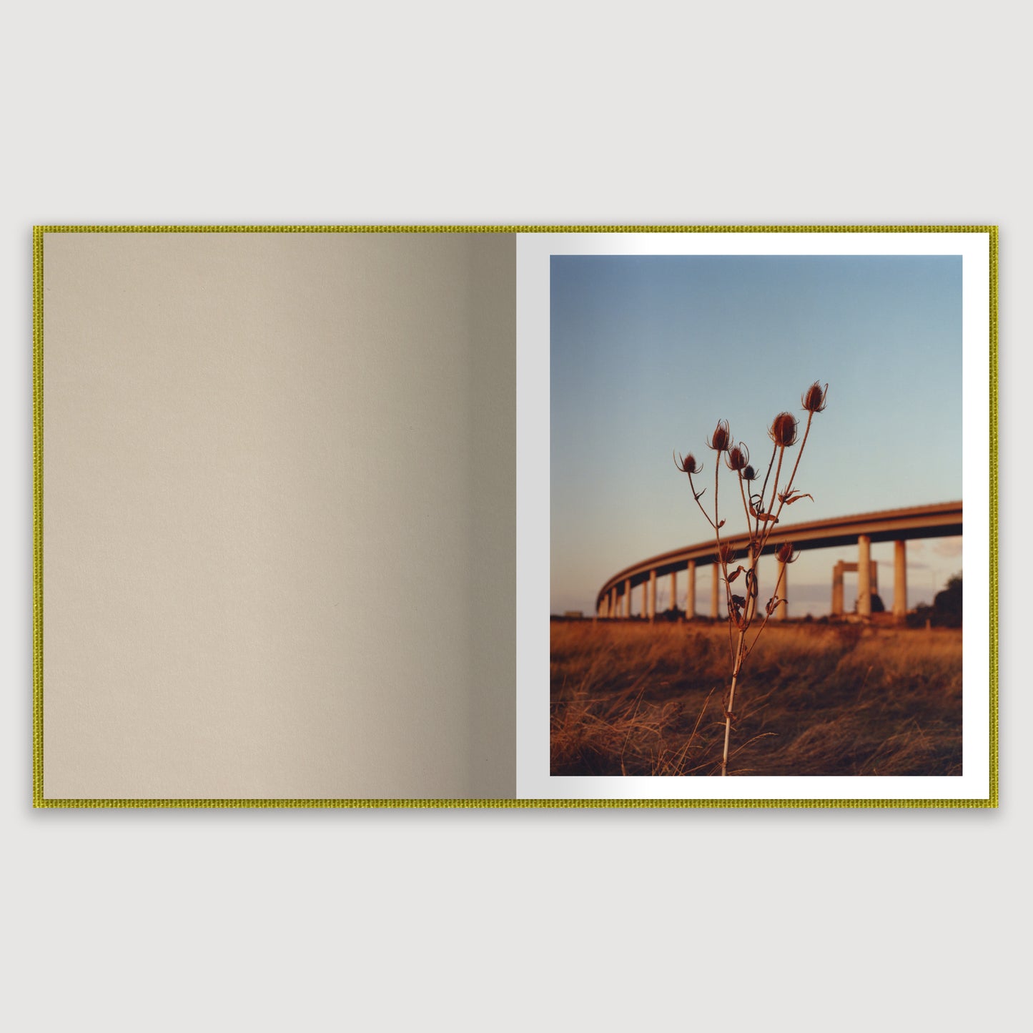 Close to Home, Laura McCluskey