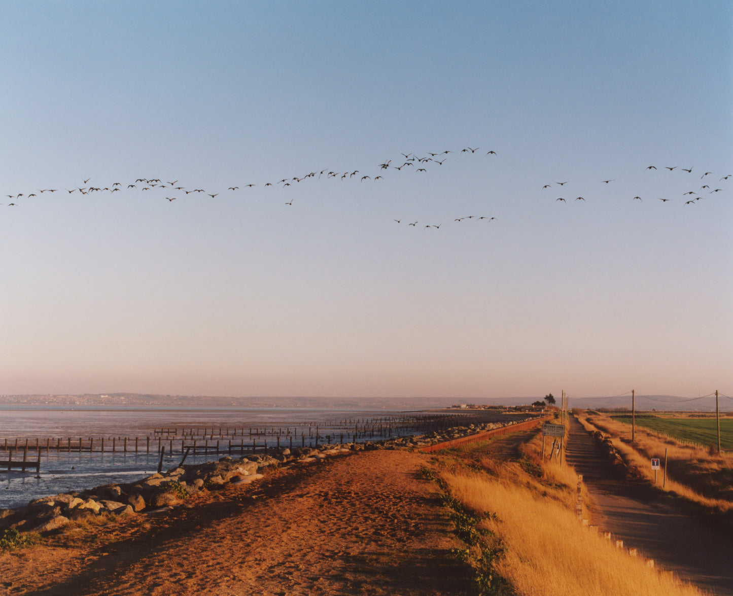 Laura McCluskey, Close to Home, Shellness