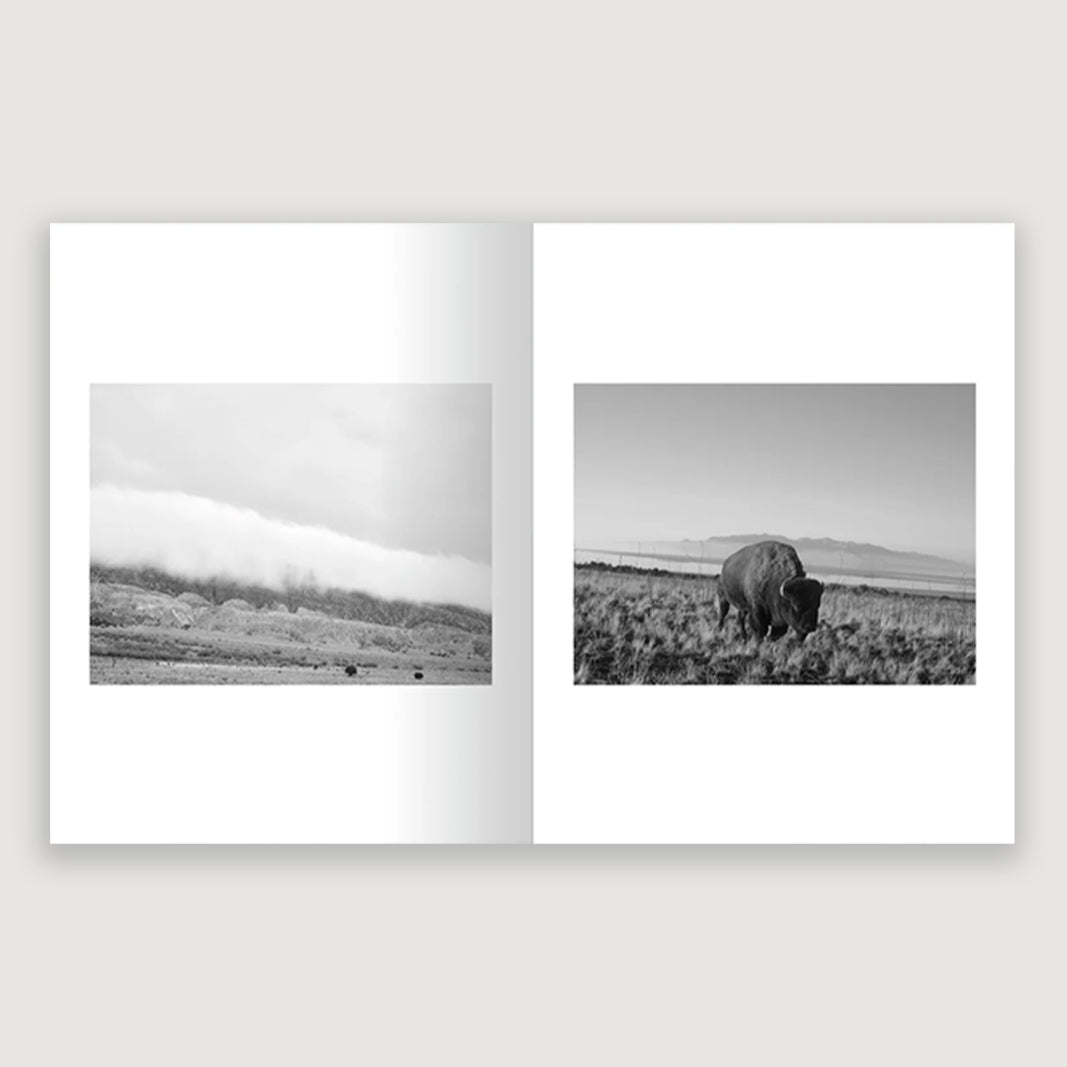 Tallor Galloway, I Can Feel You Dreaming