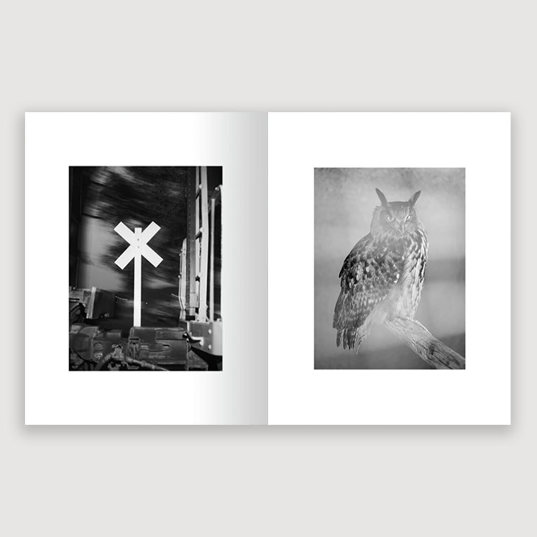 Tallor Galloway, I Can Feel You Dreaming