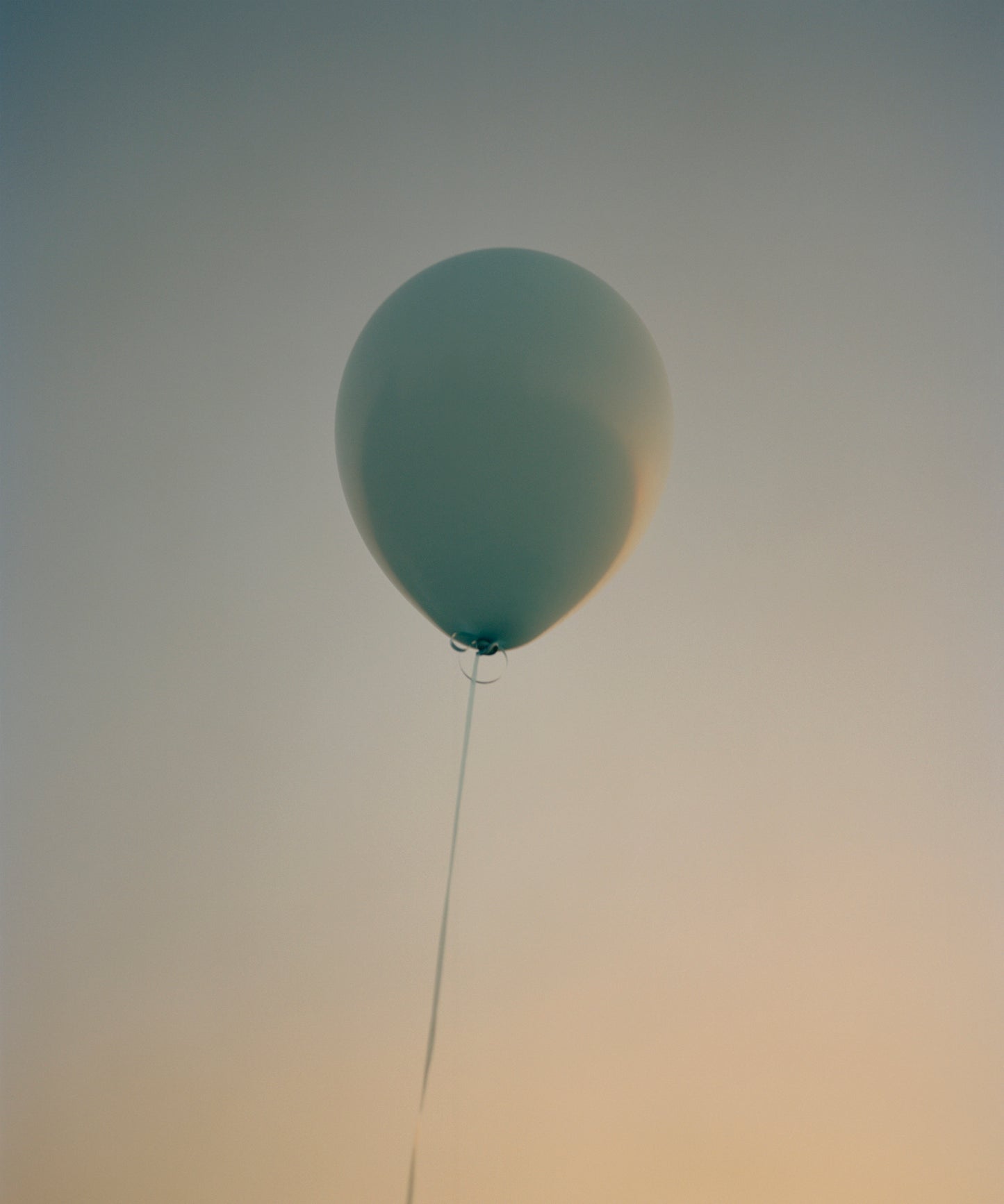 Thomas Duffield, Poppy Promises, Balloon