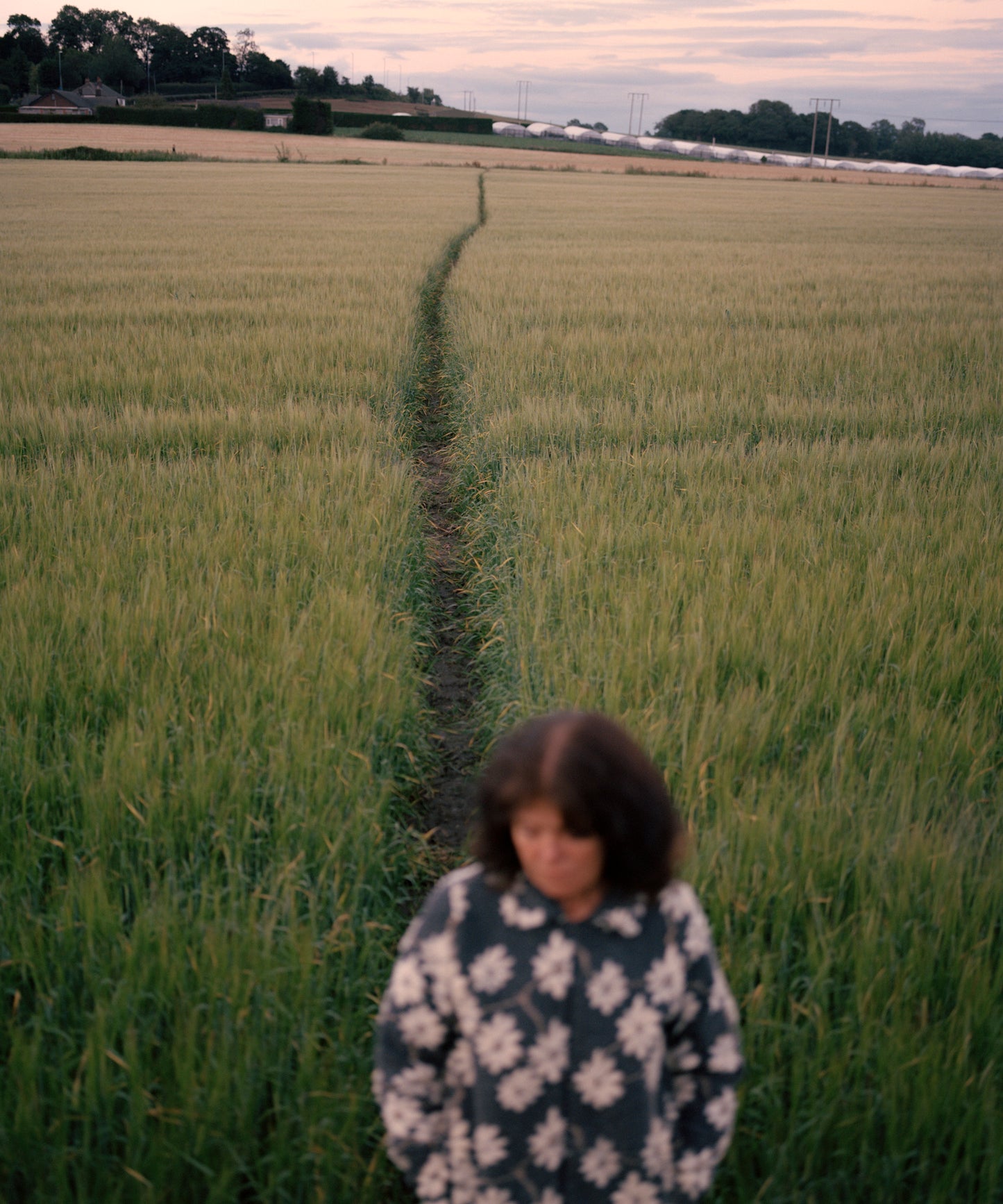 Thomas Duffield, Poppy Promises, Mother in Barley