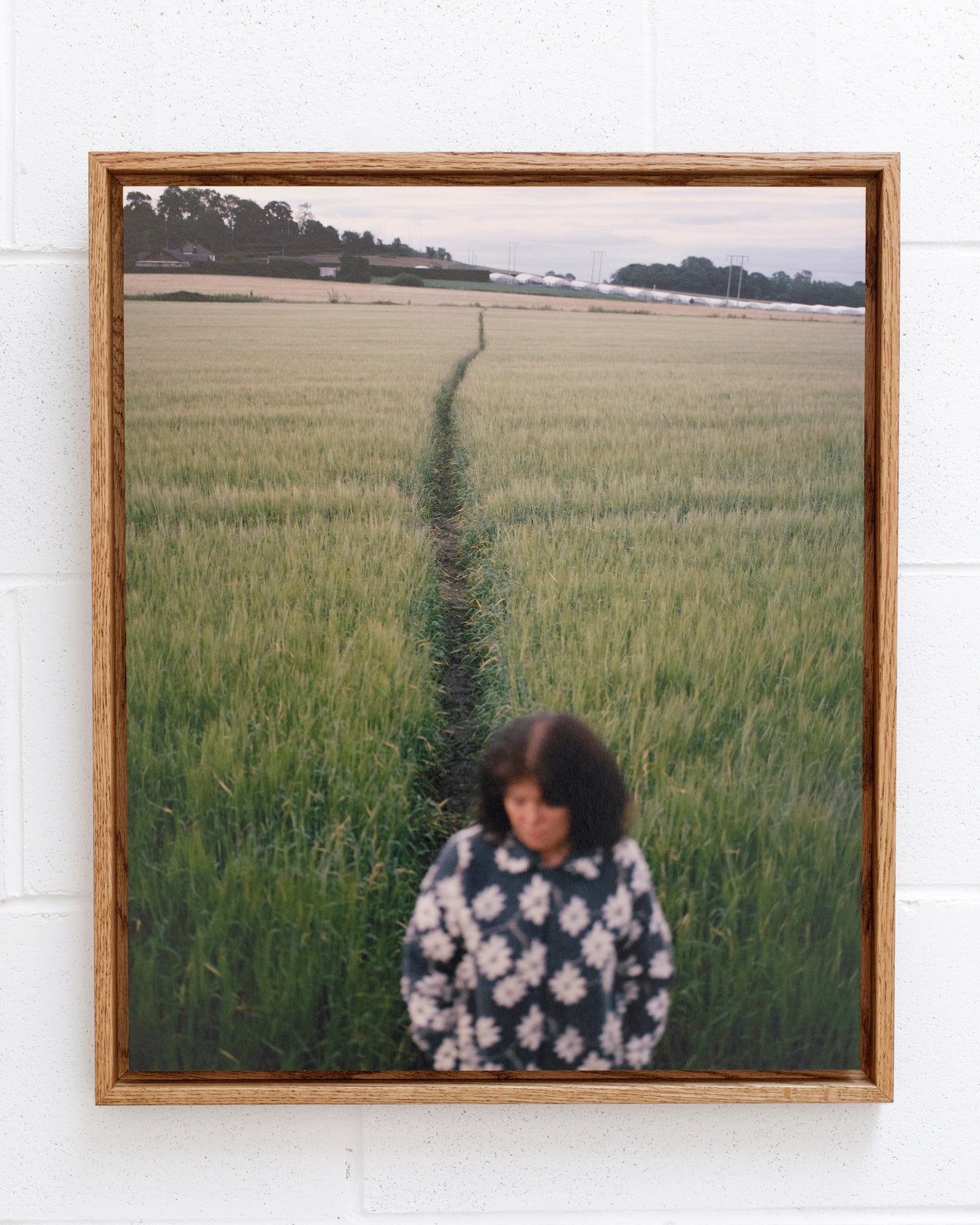 Thomas Duffield, Poppy Promises, Mother in Barley
