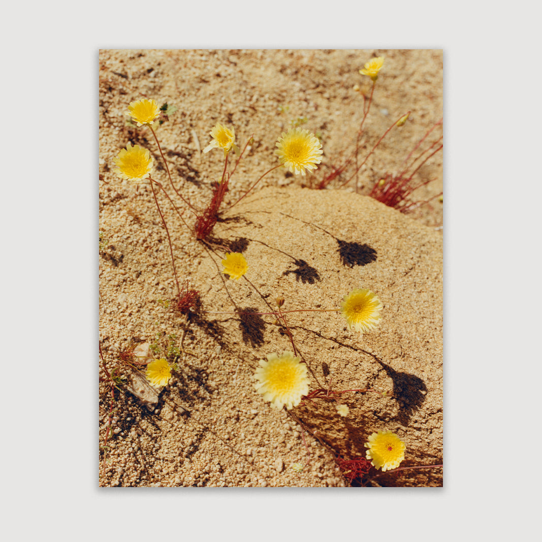 Laura McCluskey, Friendly Hills #02