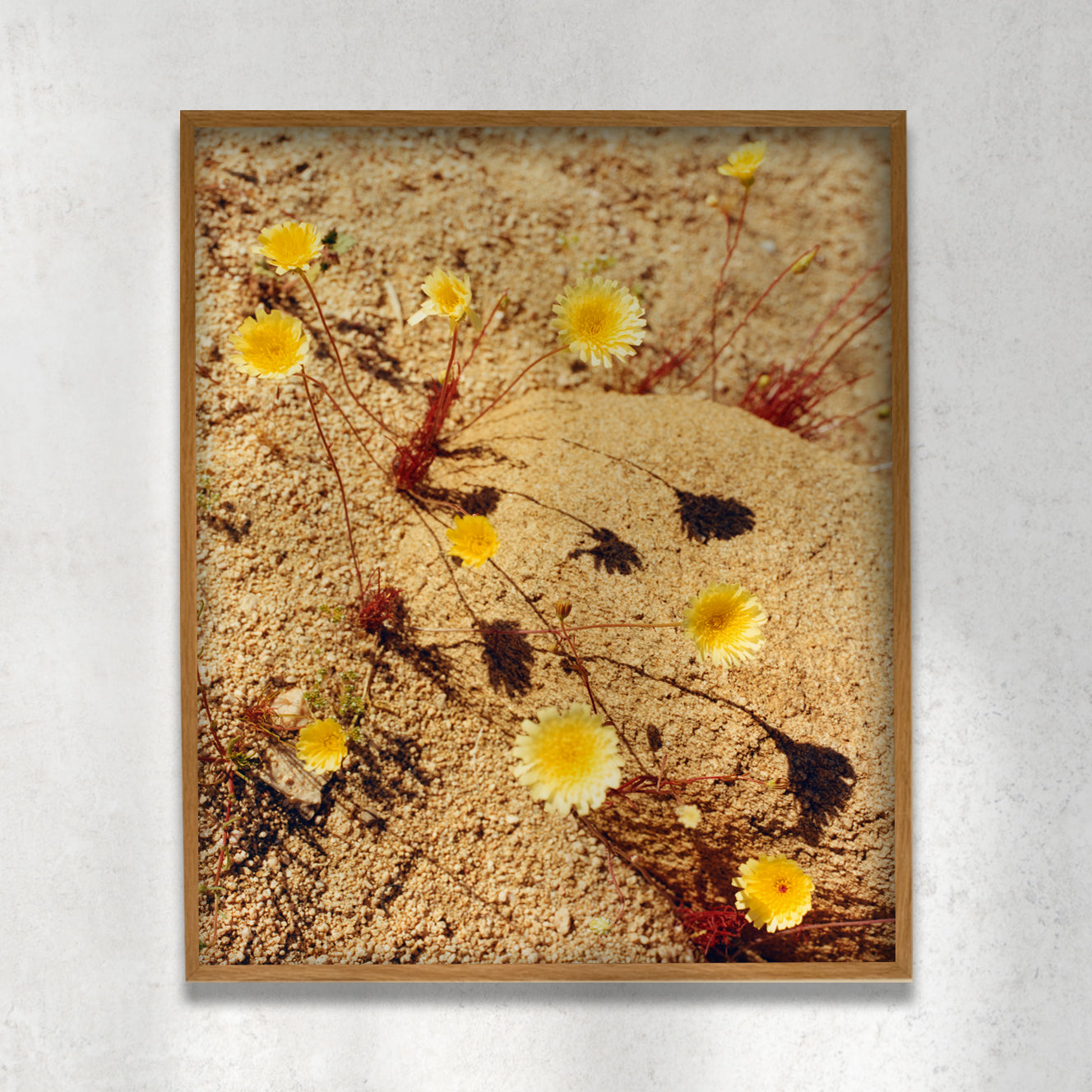 Laura McCluskey, Friendly Hills #02