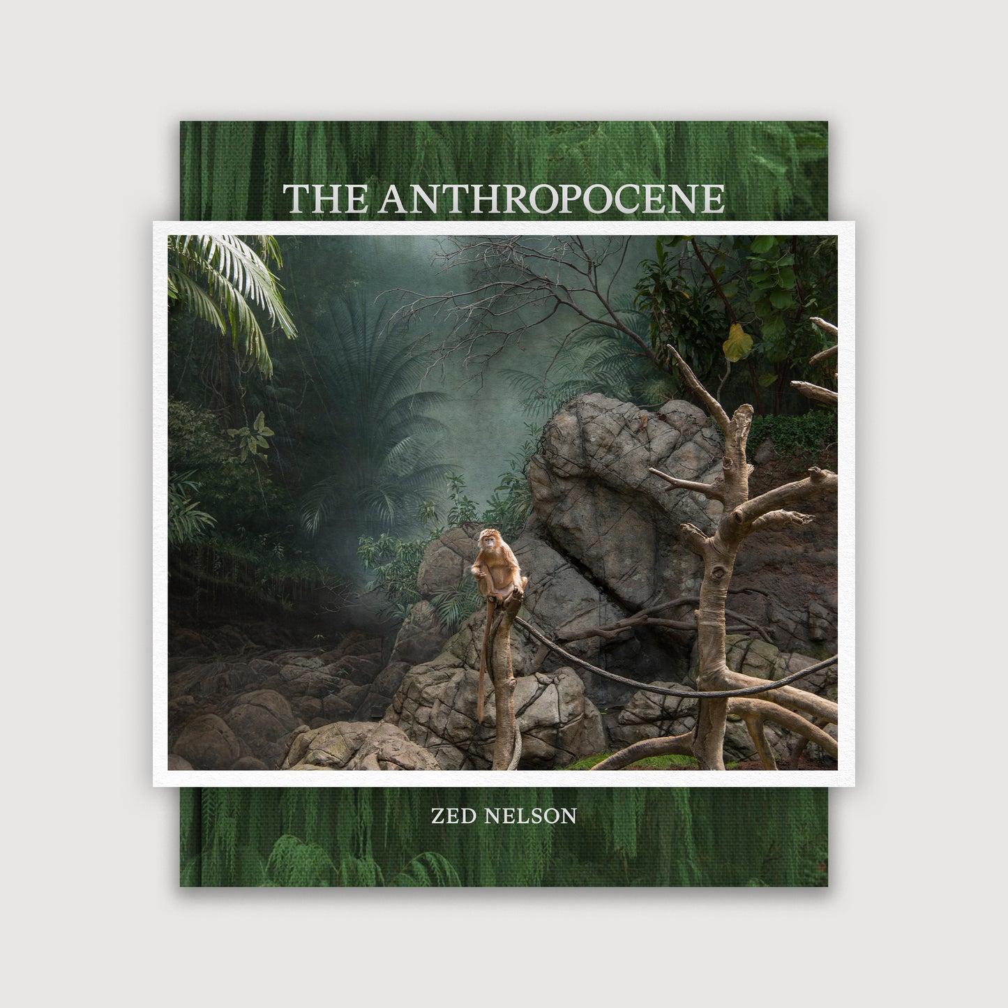 The Anthropocene Illusion, Zed Nelson, Print Edition