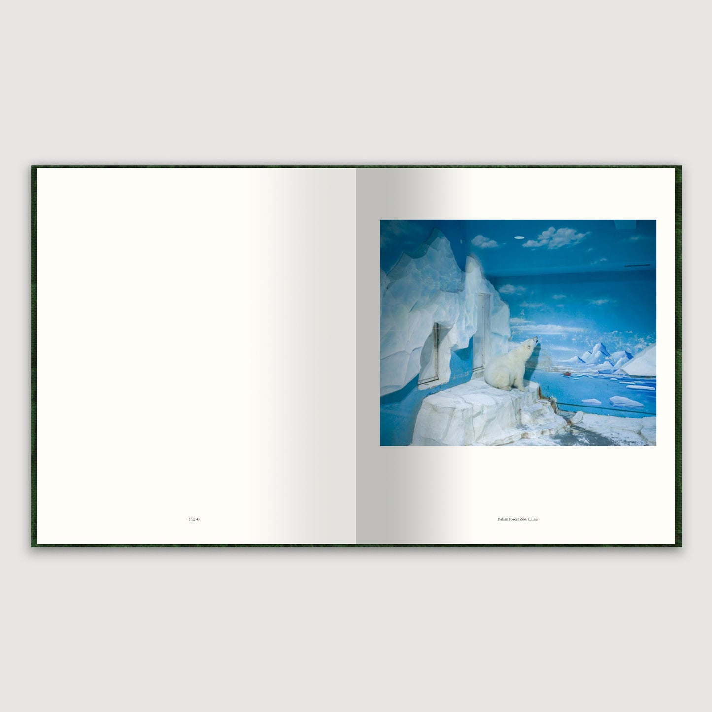 The Anthropocene Illusion, Zed Nelson