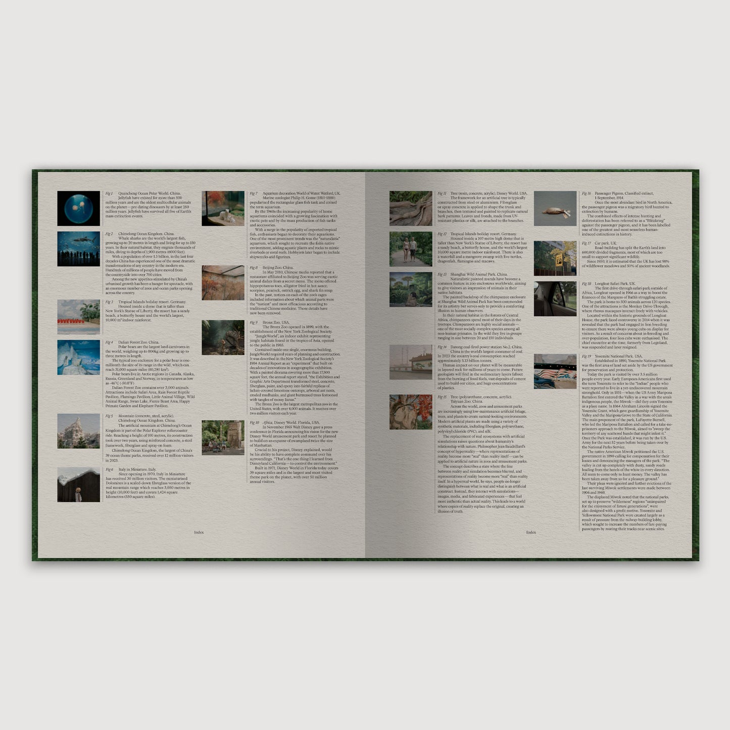 The Anthropocene Illusion, Zed Nelson