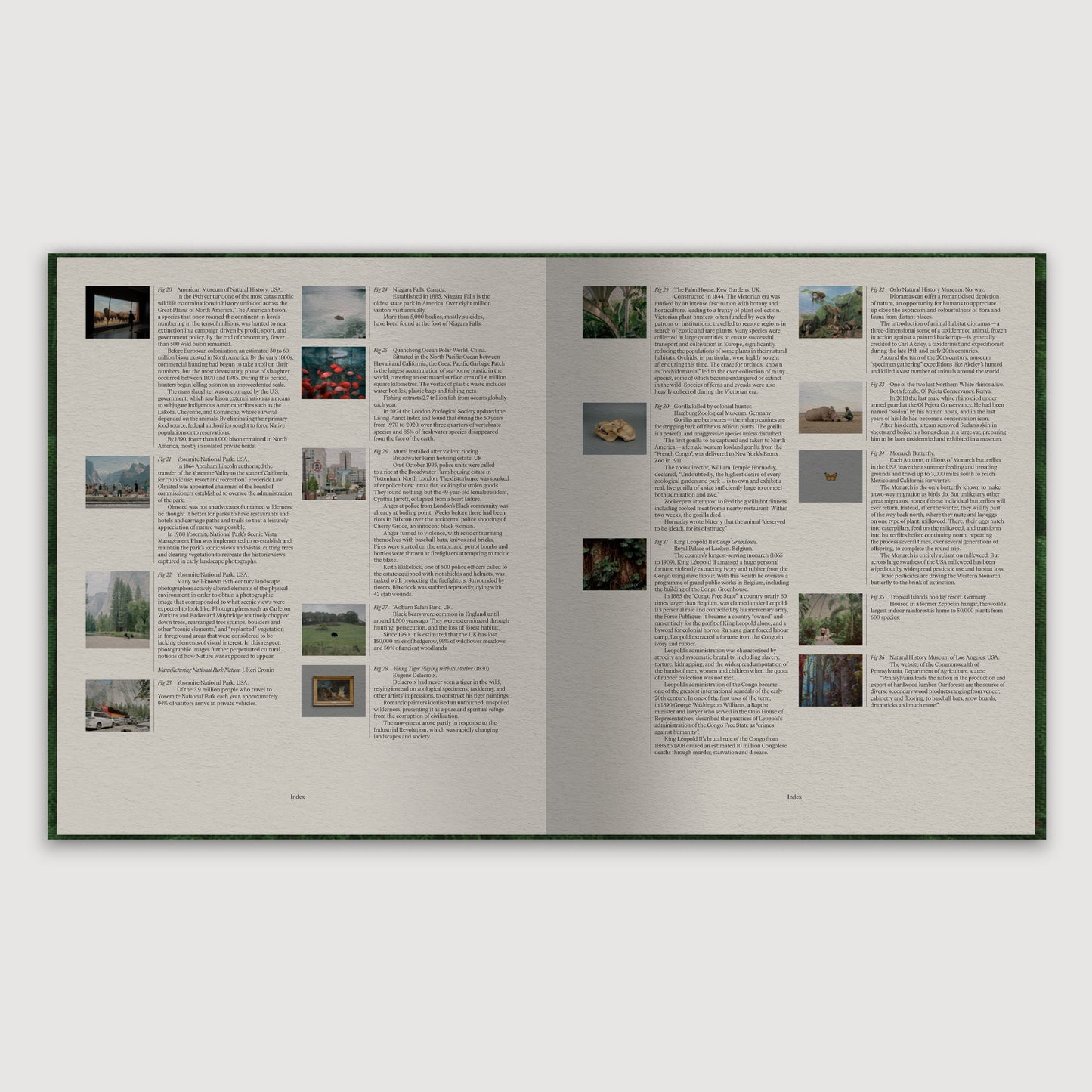 The Anthropocene Illusion, Zed Nelson