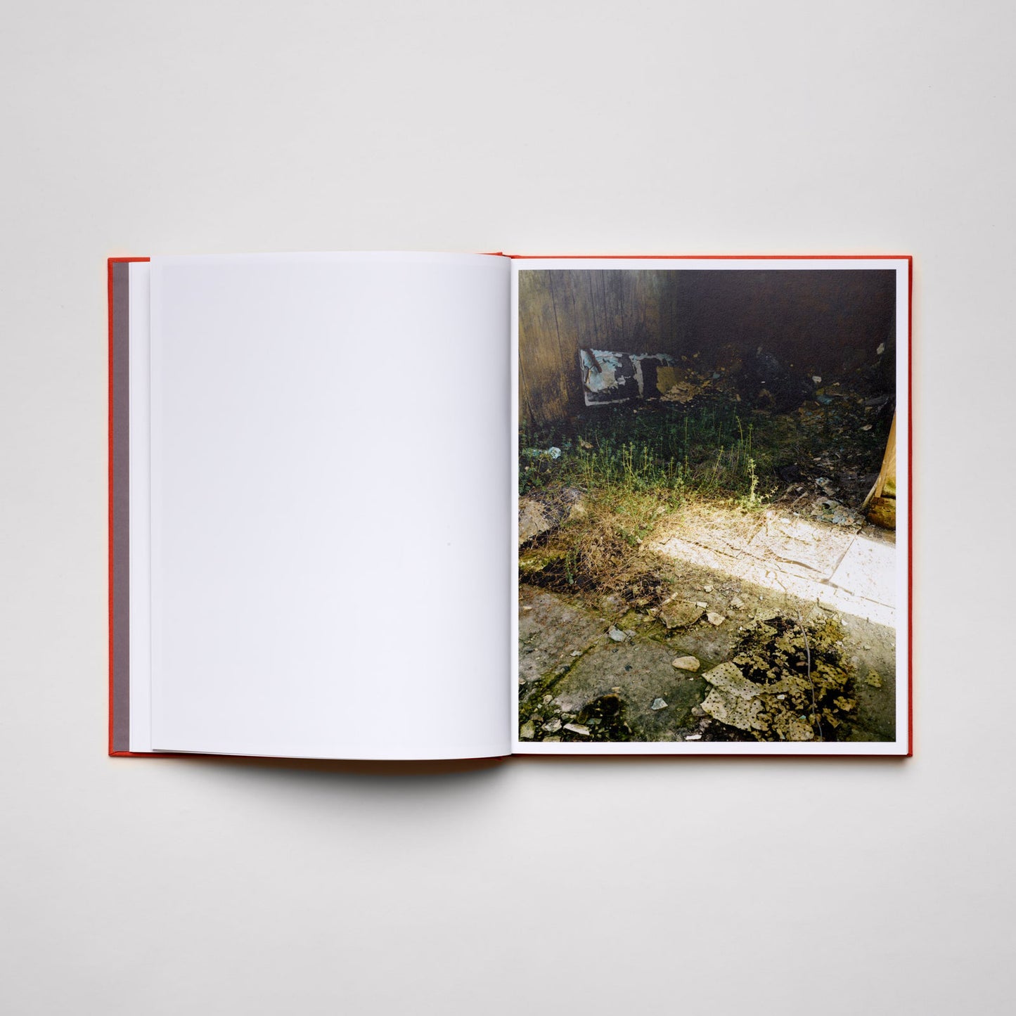 Knives, Jason Koxvold