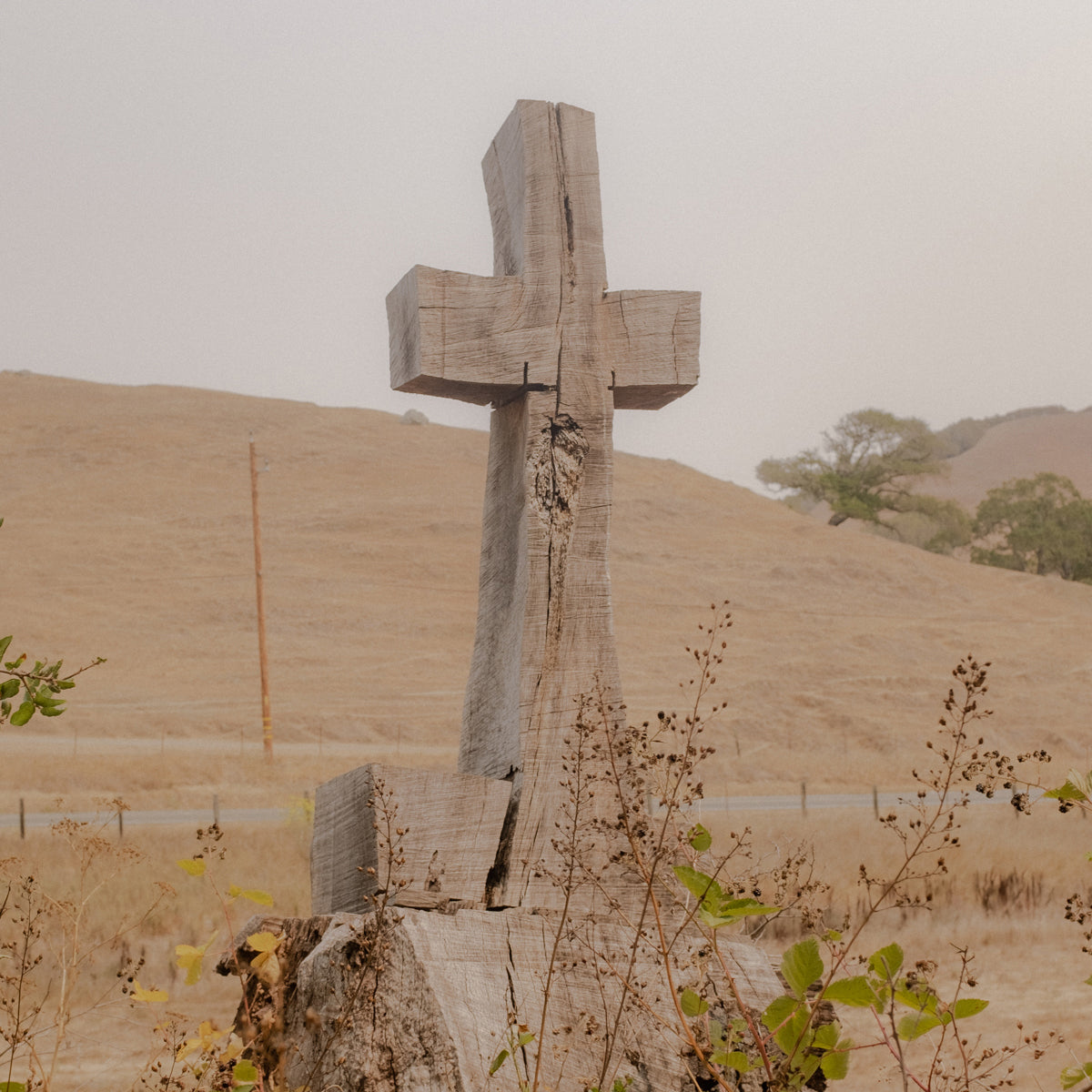 Unfolding into Morning, Zoë Waldman