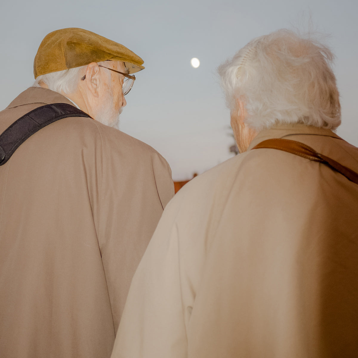 Unfolding into Morning, Zoë Waldman