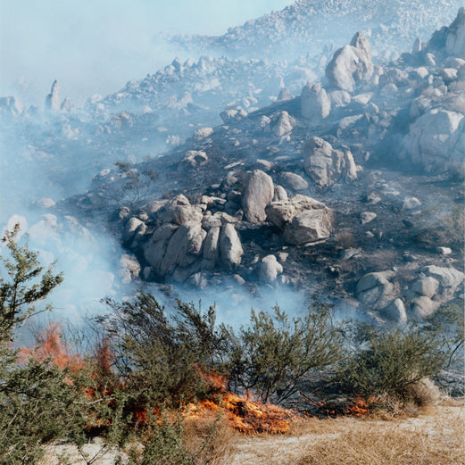 ZZYZX, Gregory Halpern