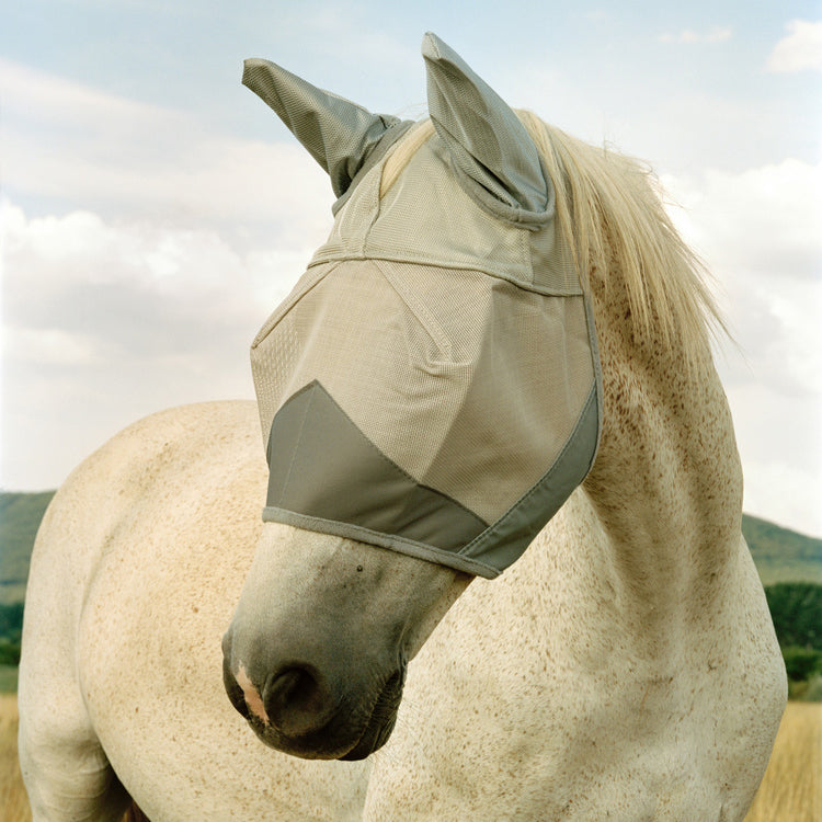 There is Nothing New Under The Sun, Kata Geibl