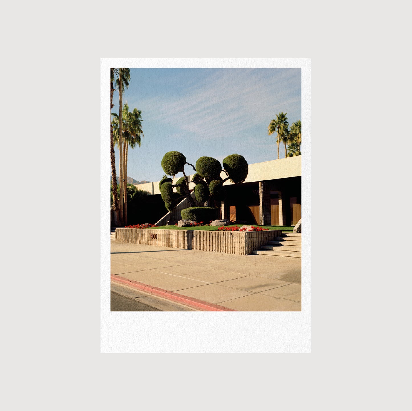 Guest Postcards, Collection 01