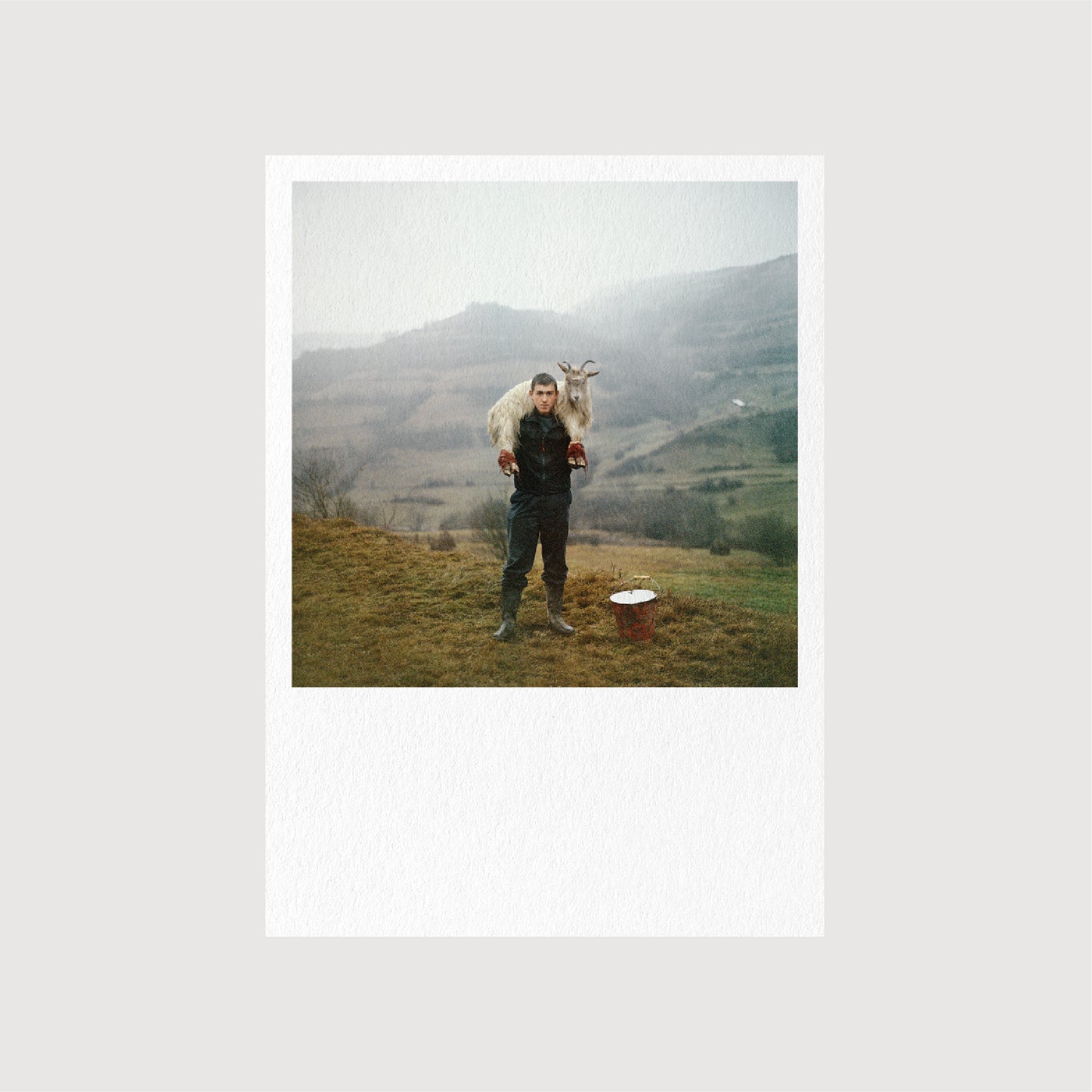 Guest Postcards, Collection 01