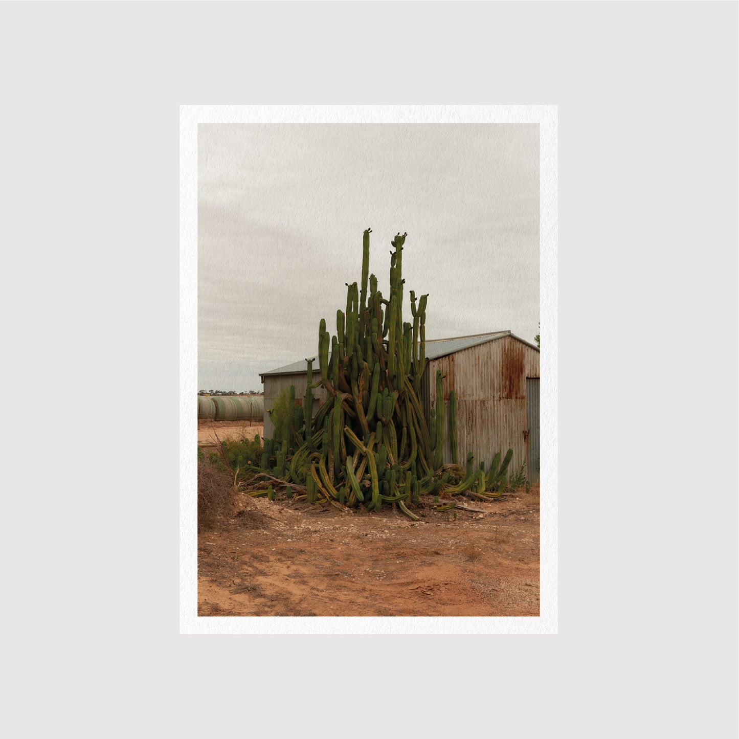 Guest Postcards, Collection 01