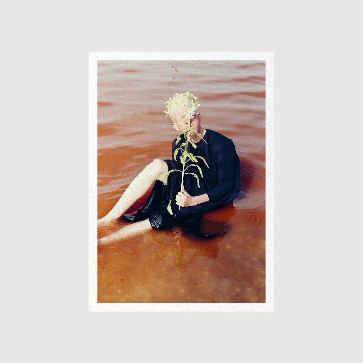 Guest Postcards, Collection 01