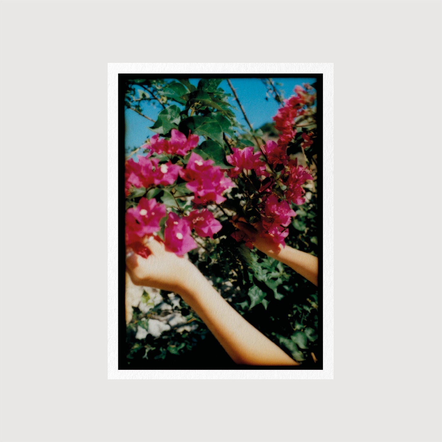 Guest Postcards, Collection 01