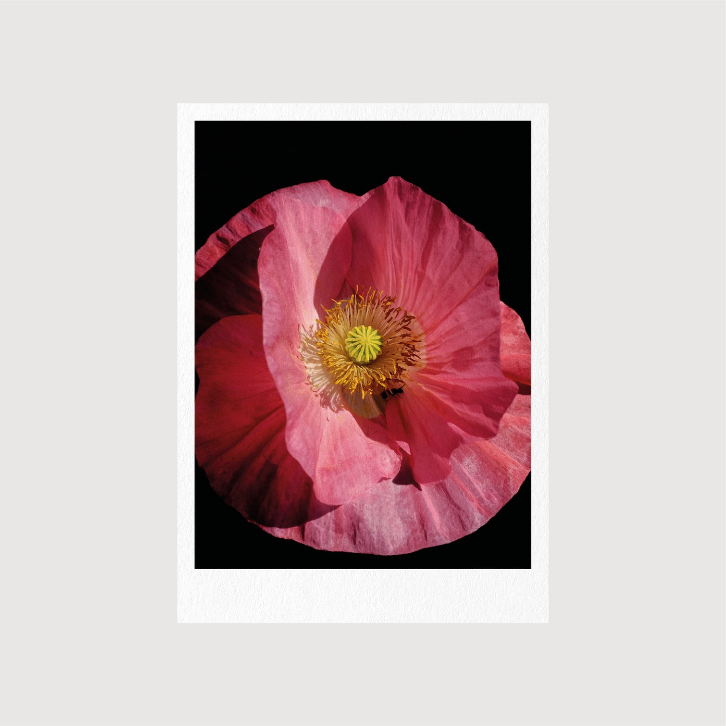 Guest Postcards, Collection 01