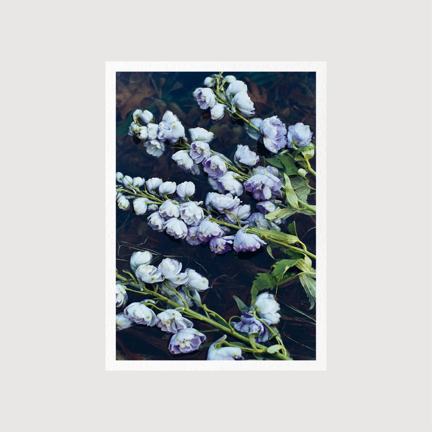 Guest Postcards, Collection 01