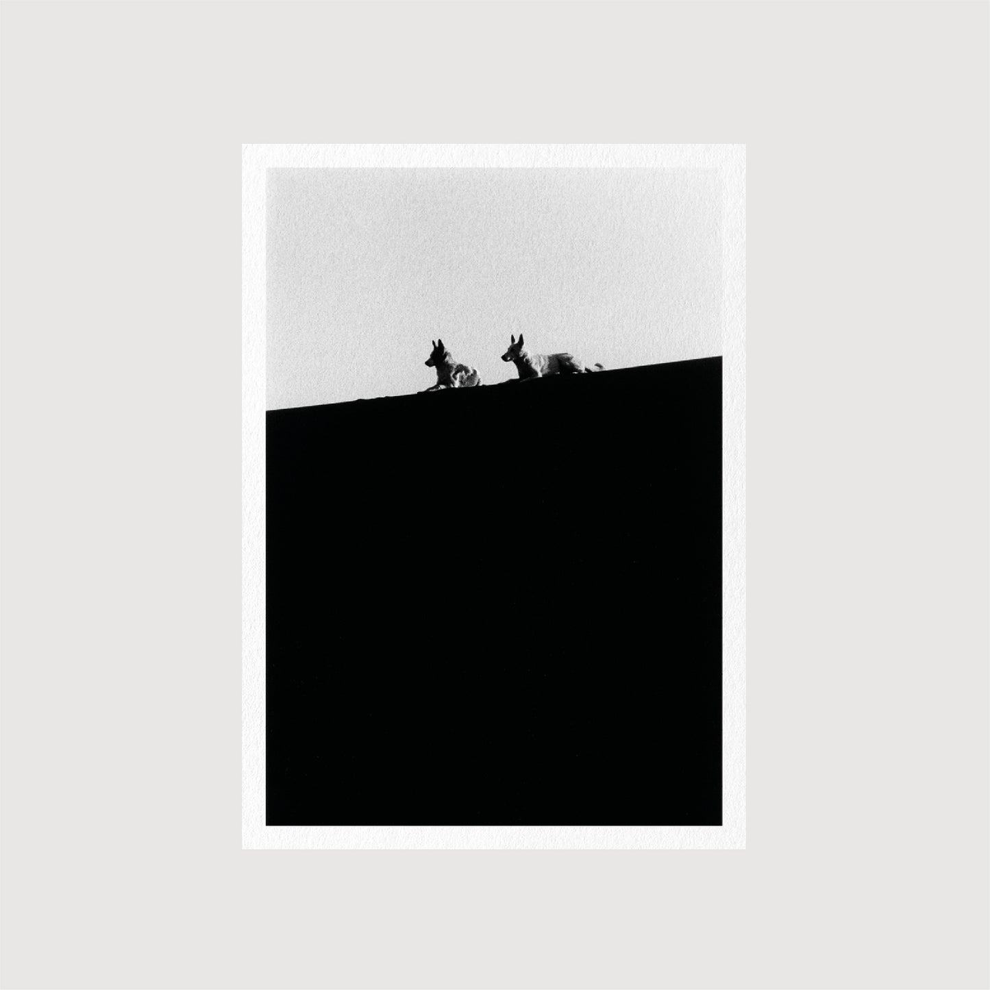 Guest Postcards, Collection 01
