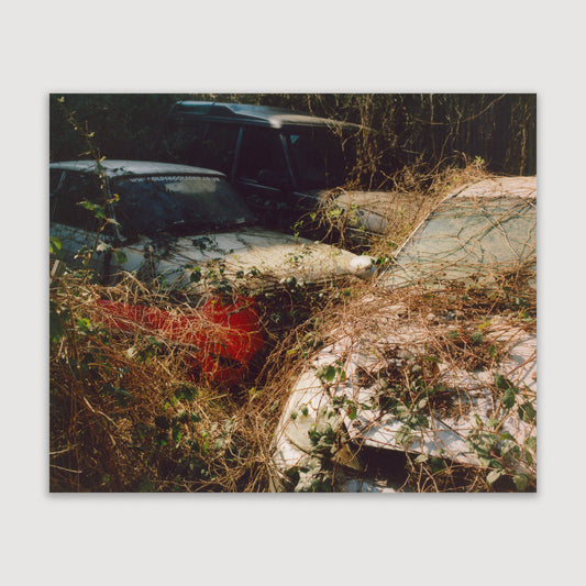 Laura McCluskey, Cars #04