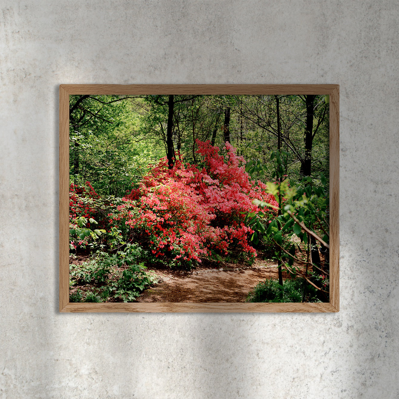 Scott Rossi, Common Place, Untitled #02, Central Park