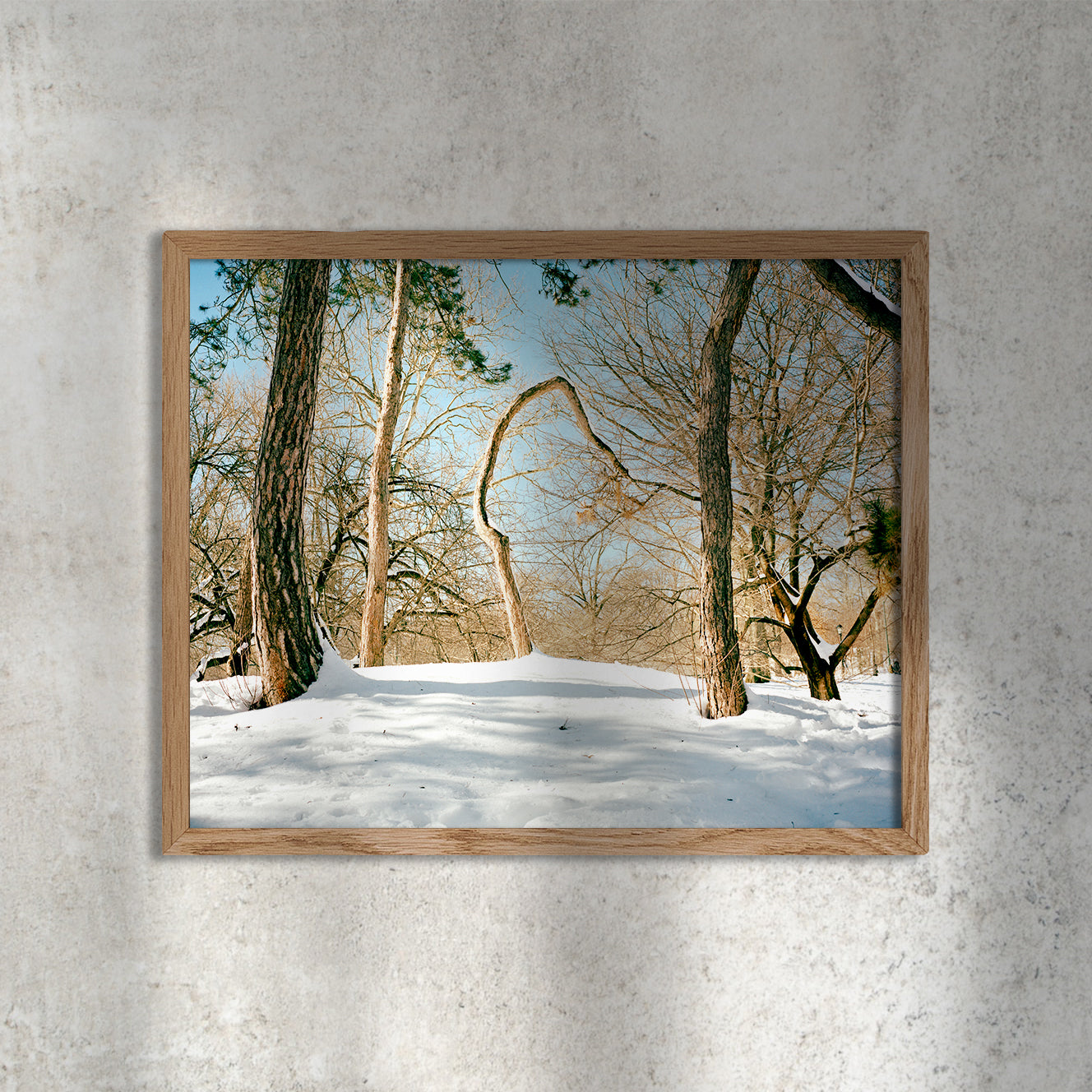 Scott Rossi, Common Place, Untitled #03, Central Park