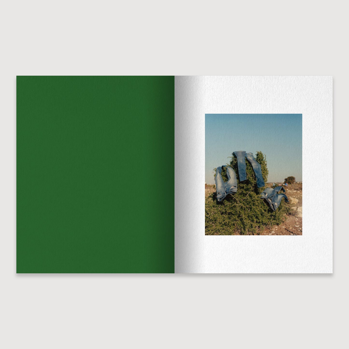 RAY 01: Morrocan Light, Laura McCluskey