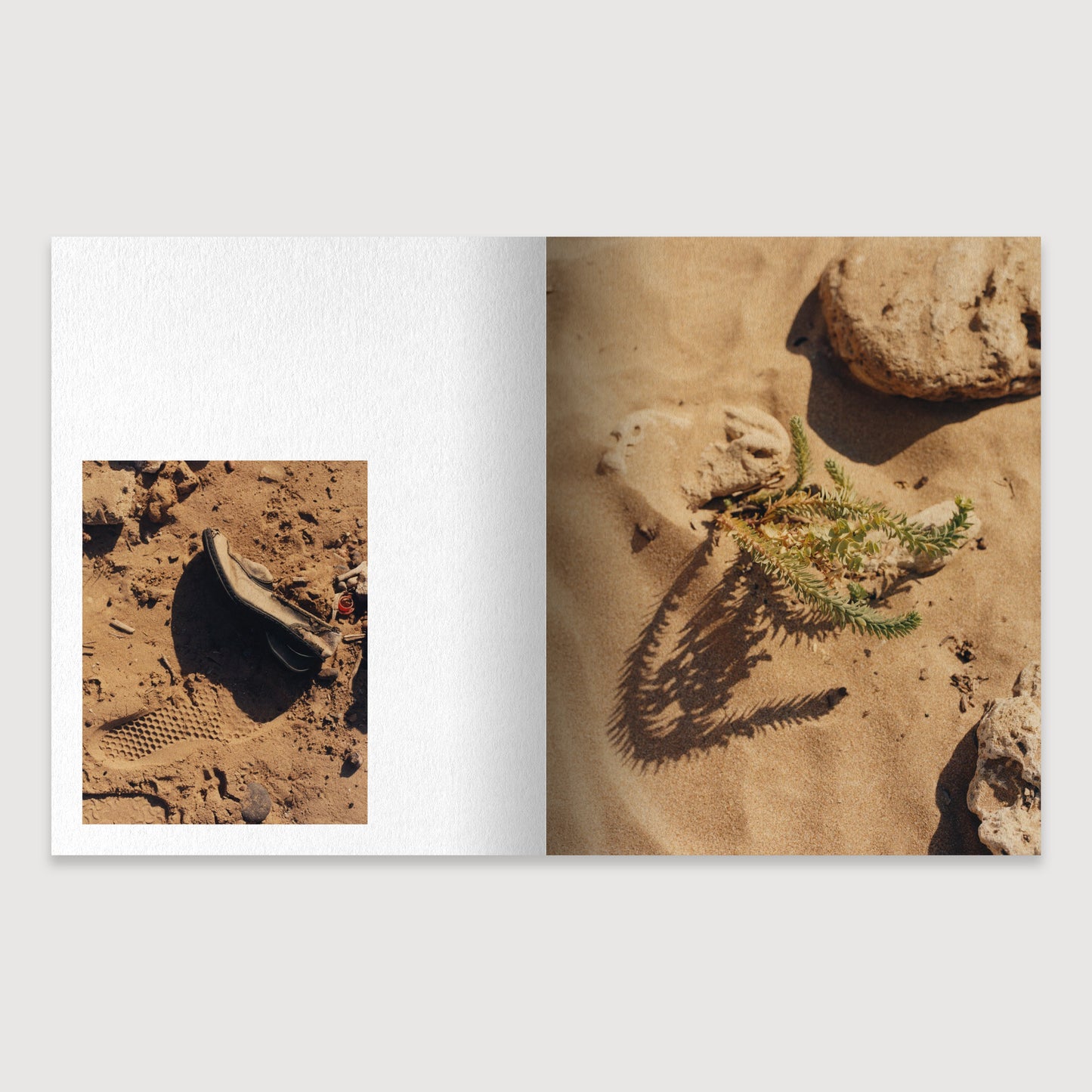 RAY 01: Morrocan Light, Laura McCluskey