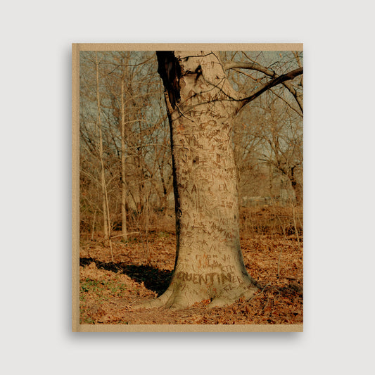 Scott Rossi, Common Place