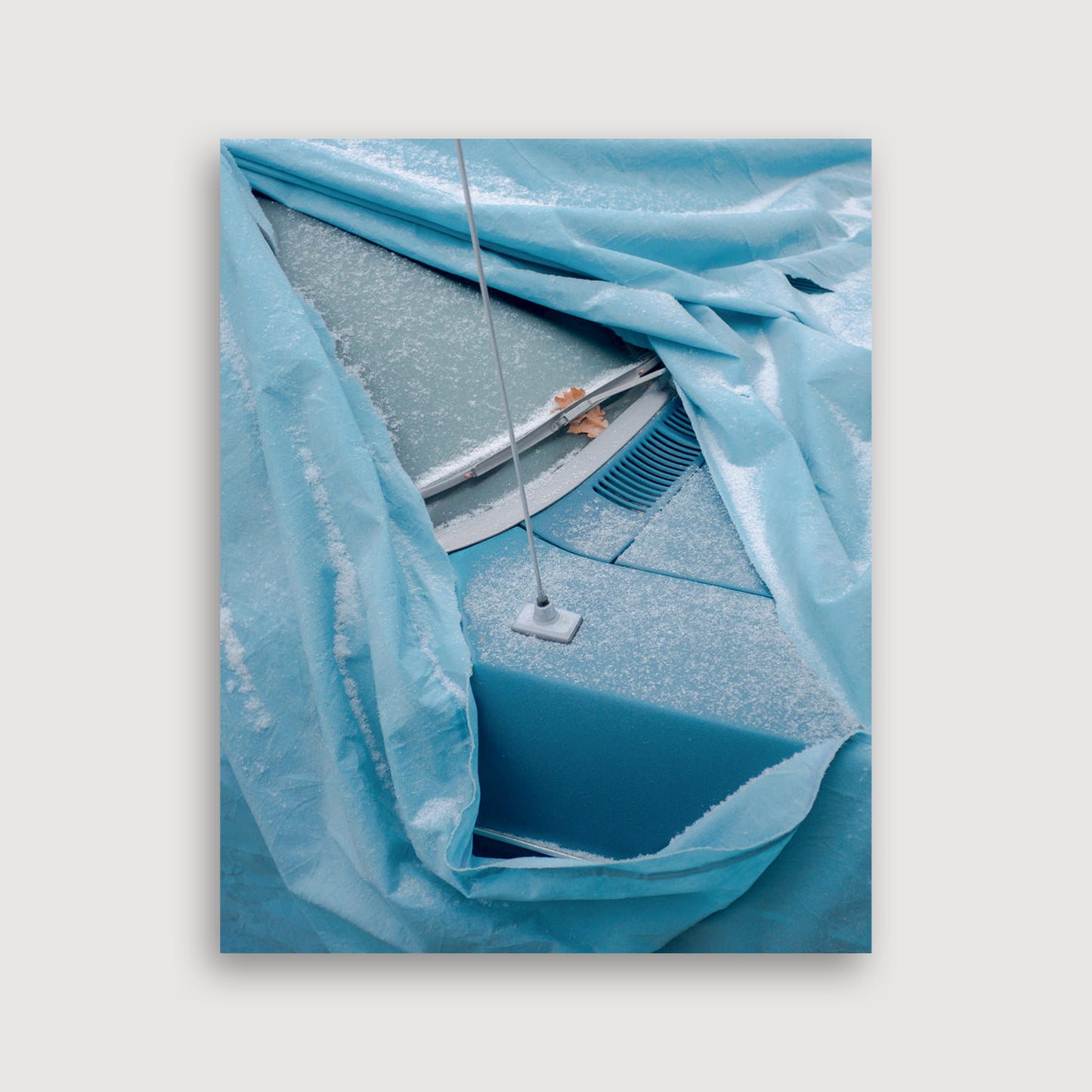 Unfolding into Morning, Zoë Waldman