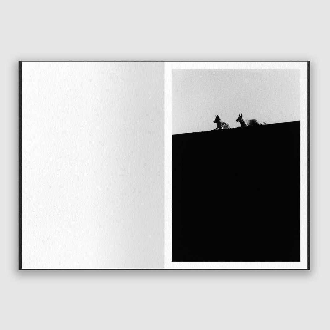 Chris Mann, Valley of The Moon, Print Edition