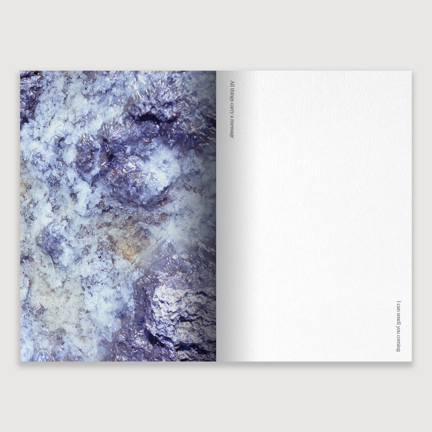 Volcano Songs, Wanda Orme