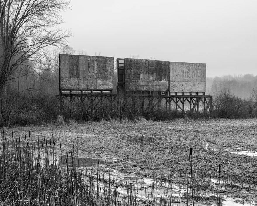 Snow, Vanessa Winship