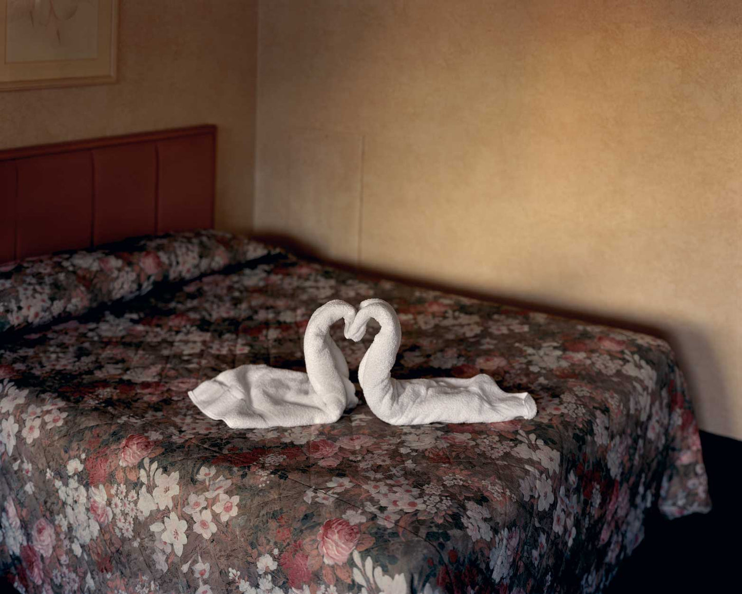 Niagara, Alec Soth