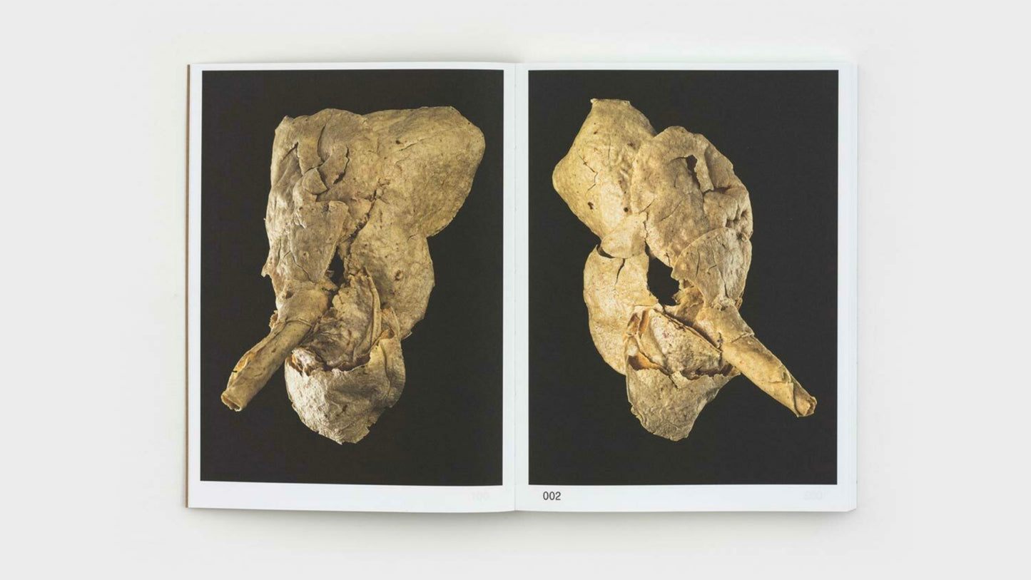 Masks, Damian Ortega