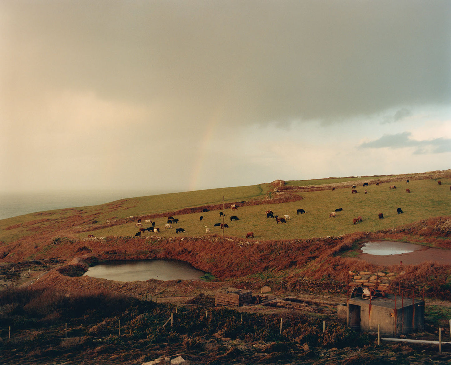 The British Isles, Jamie Hawkesworth