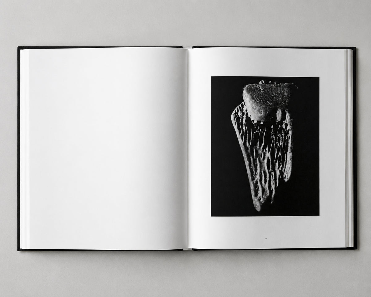 Jar of Teeth, Tom Sussex