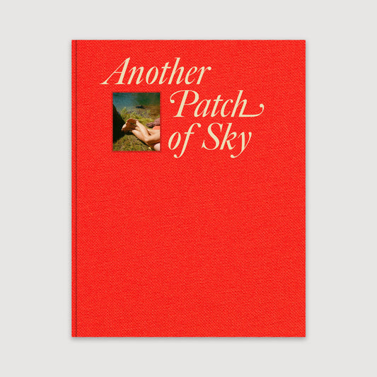 Another Patch of Sky, Brian Chorski