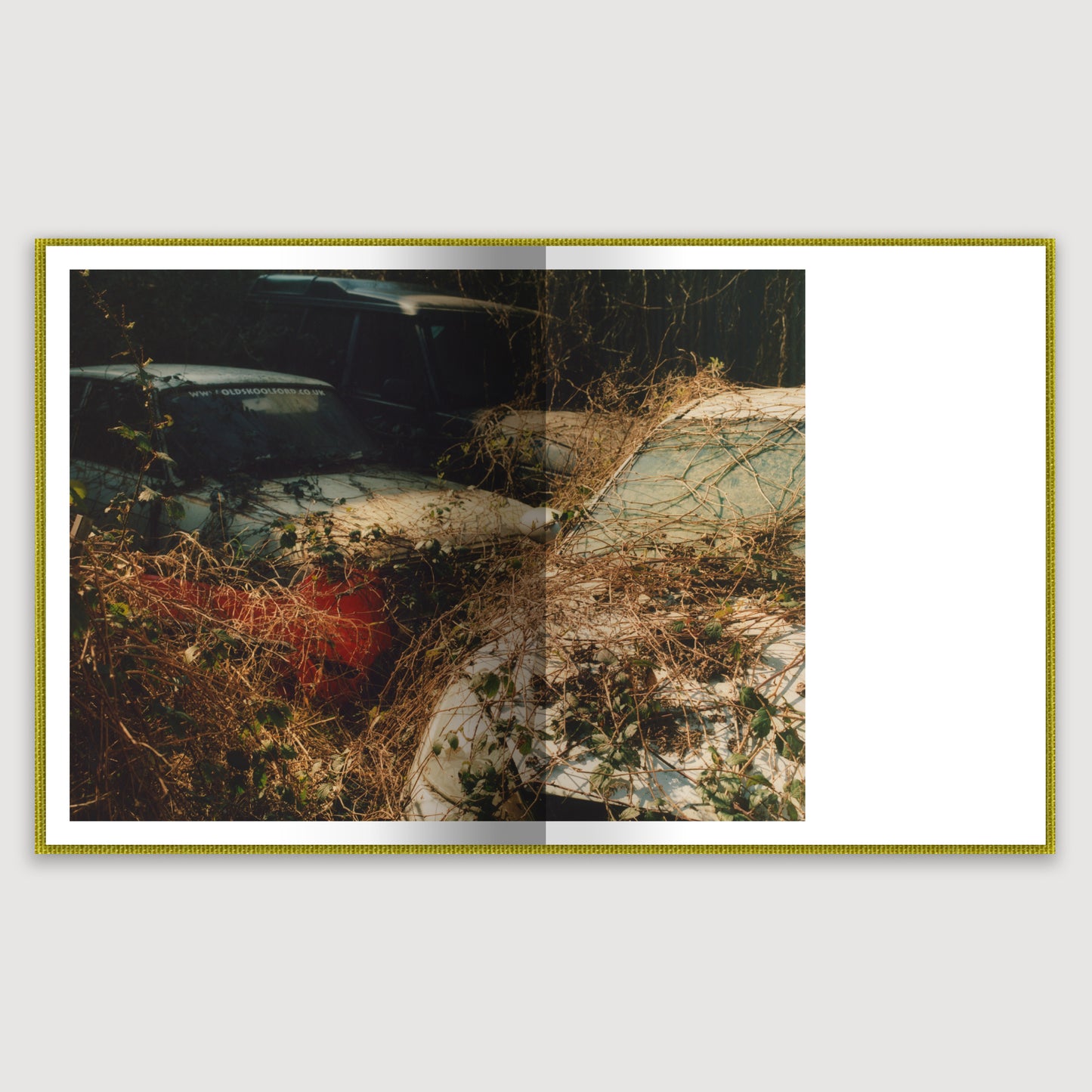 Close to Home, Print Edition, Laura McCluskey
