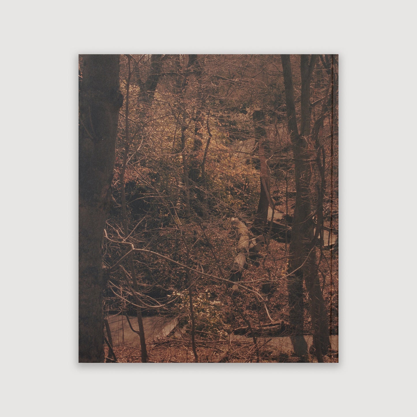 In Plain Air, Irina Rozovsky