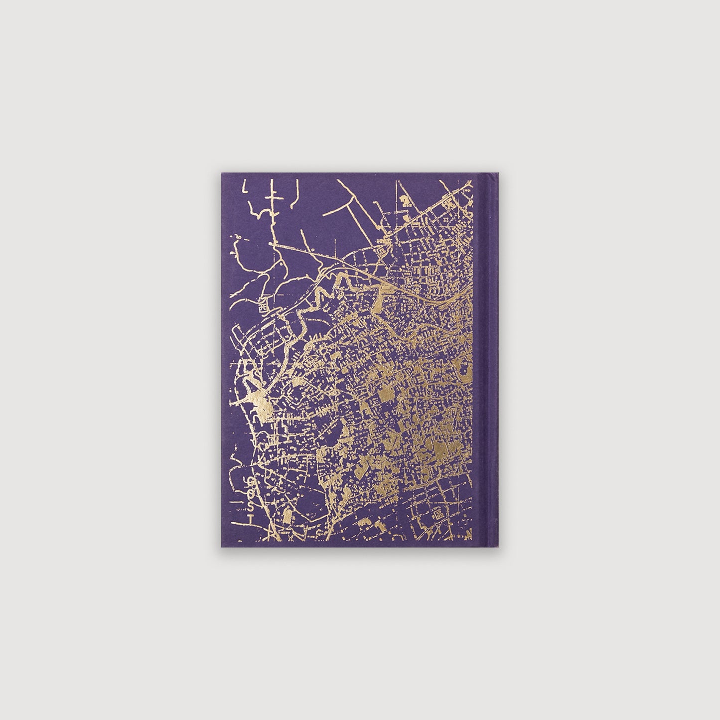 Sacred Shanghai, Liz Hingley