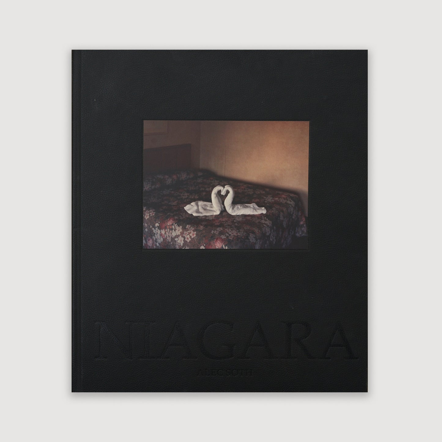 Niagara, Alec Soth