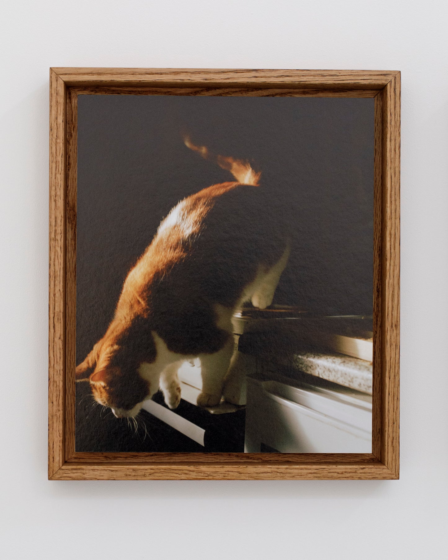 Thomas Duffield, Poppy Promises, Gata