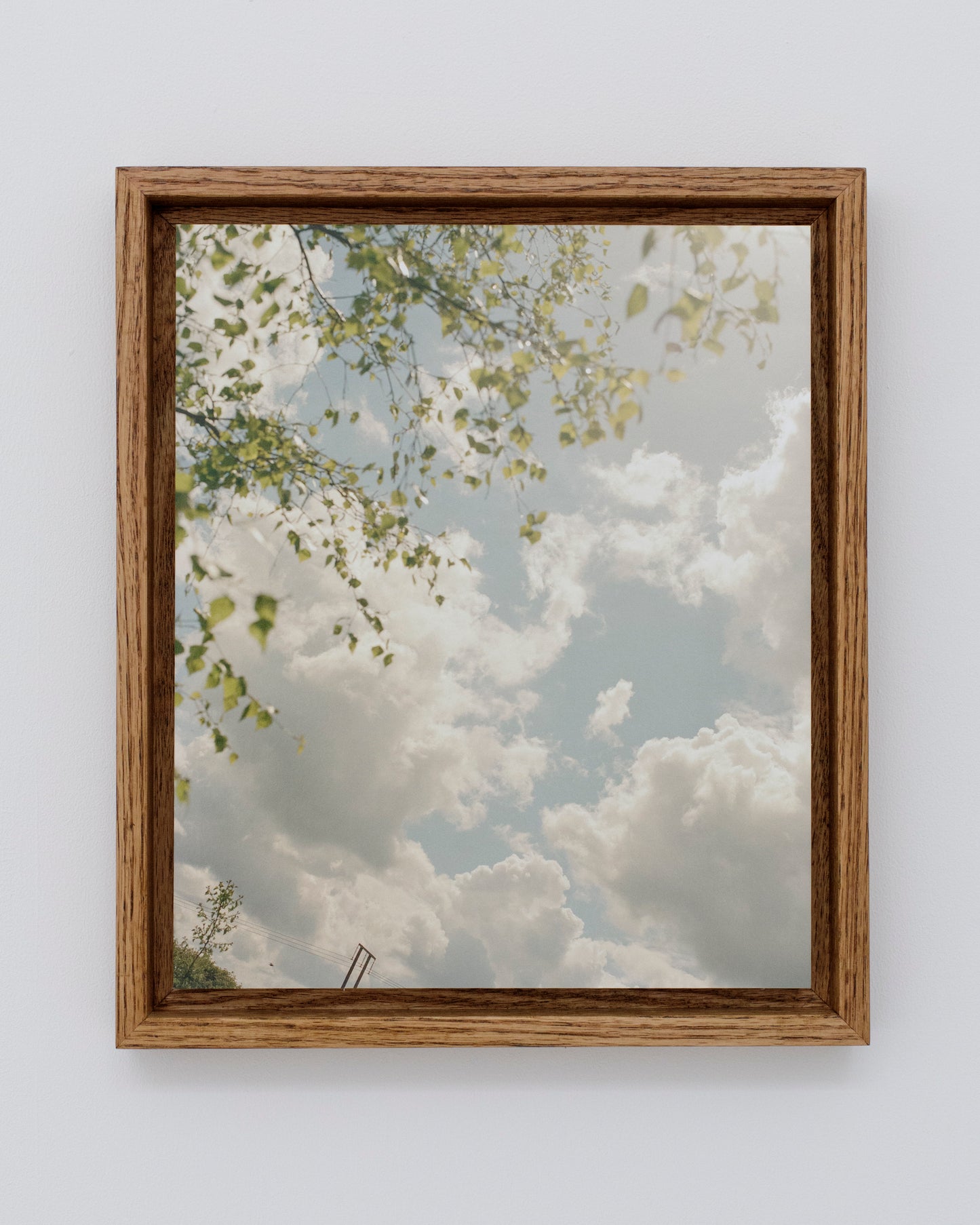 Thomas Duffield, Poppy Promises, Summer Sky