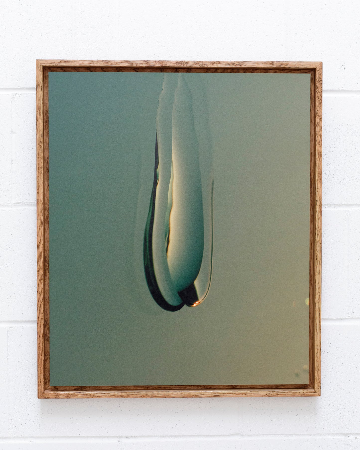 Thomas Duffield, Poppy Promises, Teardrop